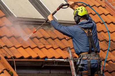Démoussage et hydrofuge de toiture à Pavie